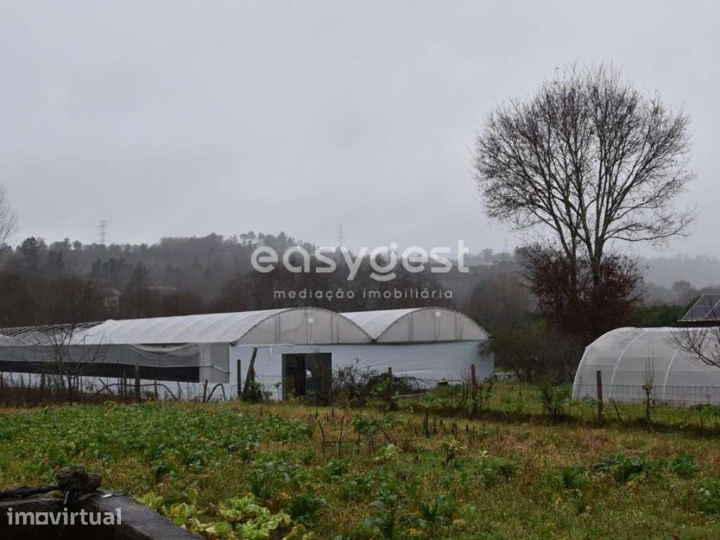 Terreno de exploração agrícola, localizado em Coutos de Viseu - Grande imagem: 3/25