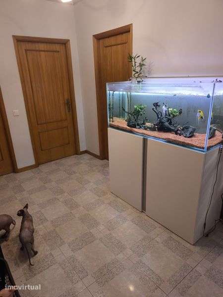 Apartamento T2 em Cabeçudos - Grande imagem: 5/12