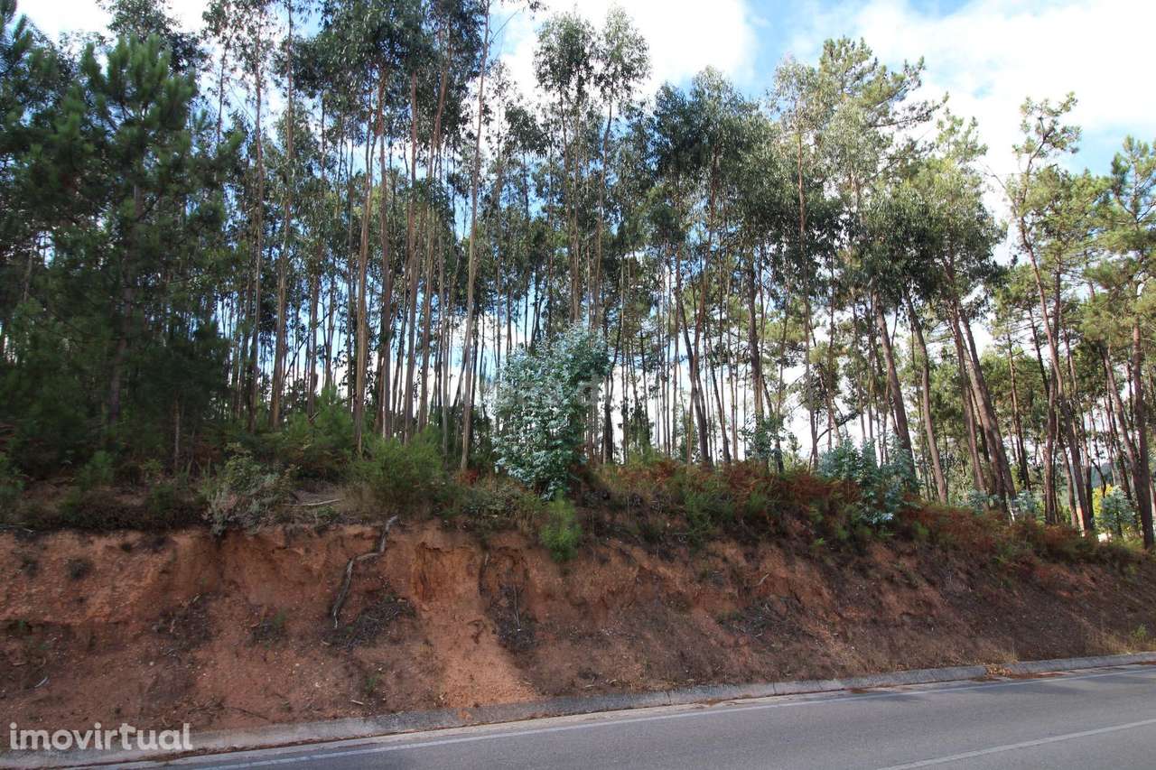 Terreno para Construção - Caranguejeira, Leiria - Grande imagem: 5/7