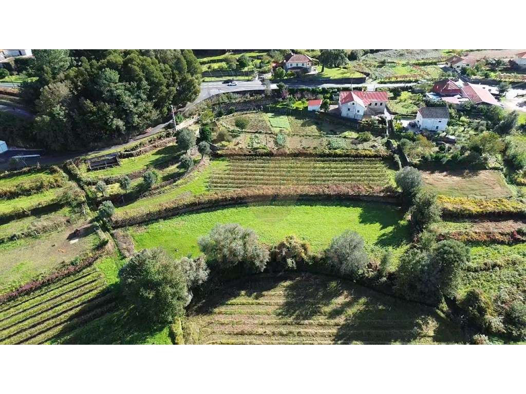 Terreno Rústico 2 300 m² - Cepões - Ponte de Lima - Grande imagem: 5/6