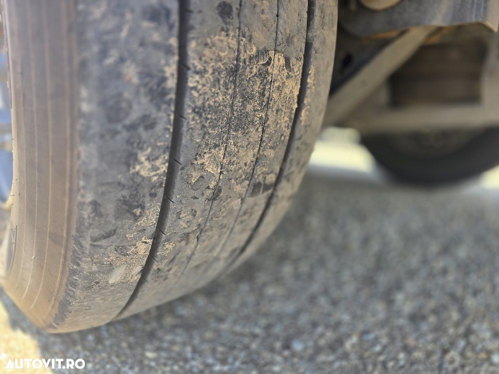 Wielton NS3 - Prelata standard 2024 - 20