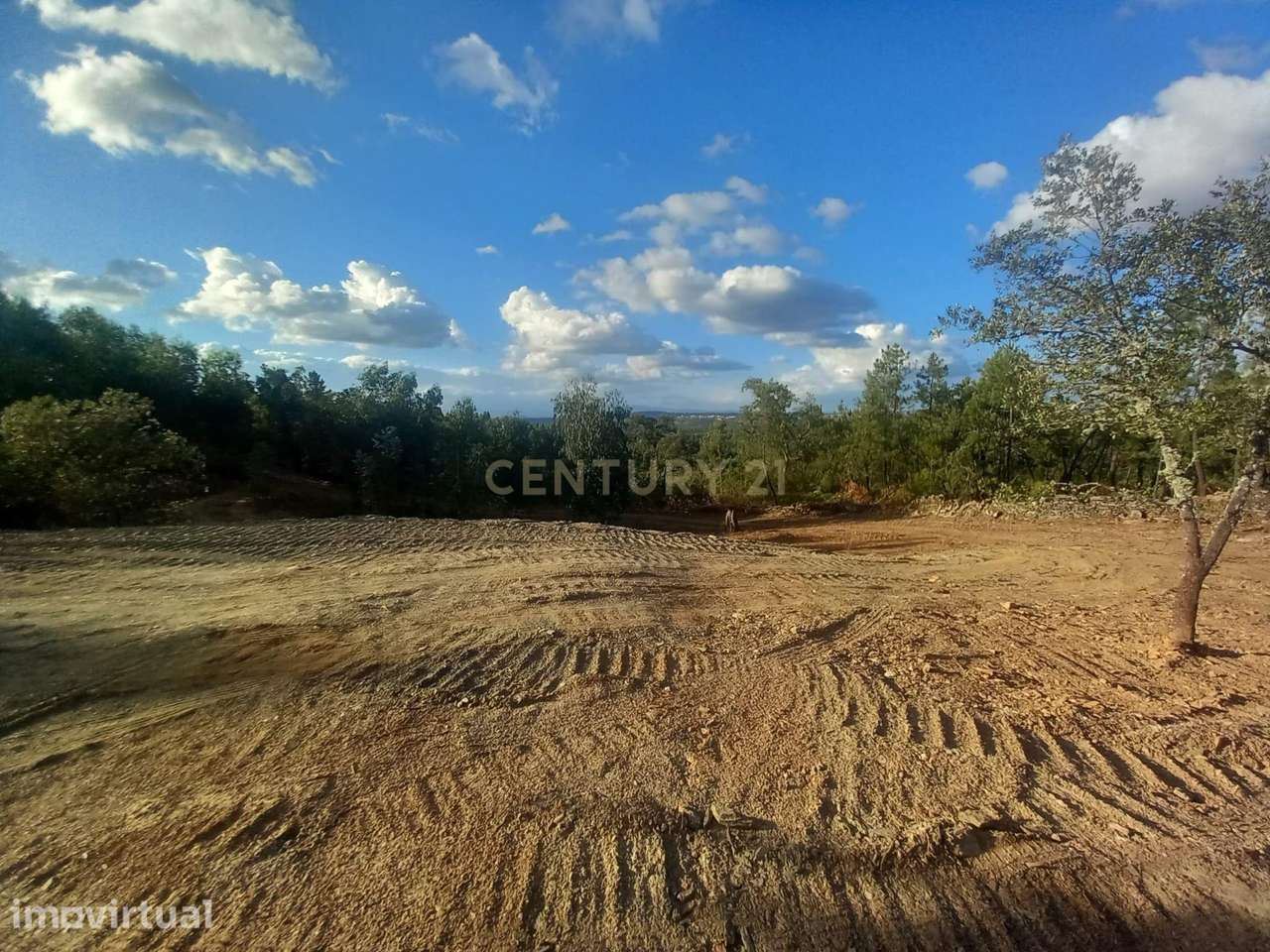 Terreno em Benquerenças, Castelo Branco - 2800m² - Grande imagem: 2/12