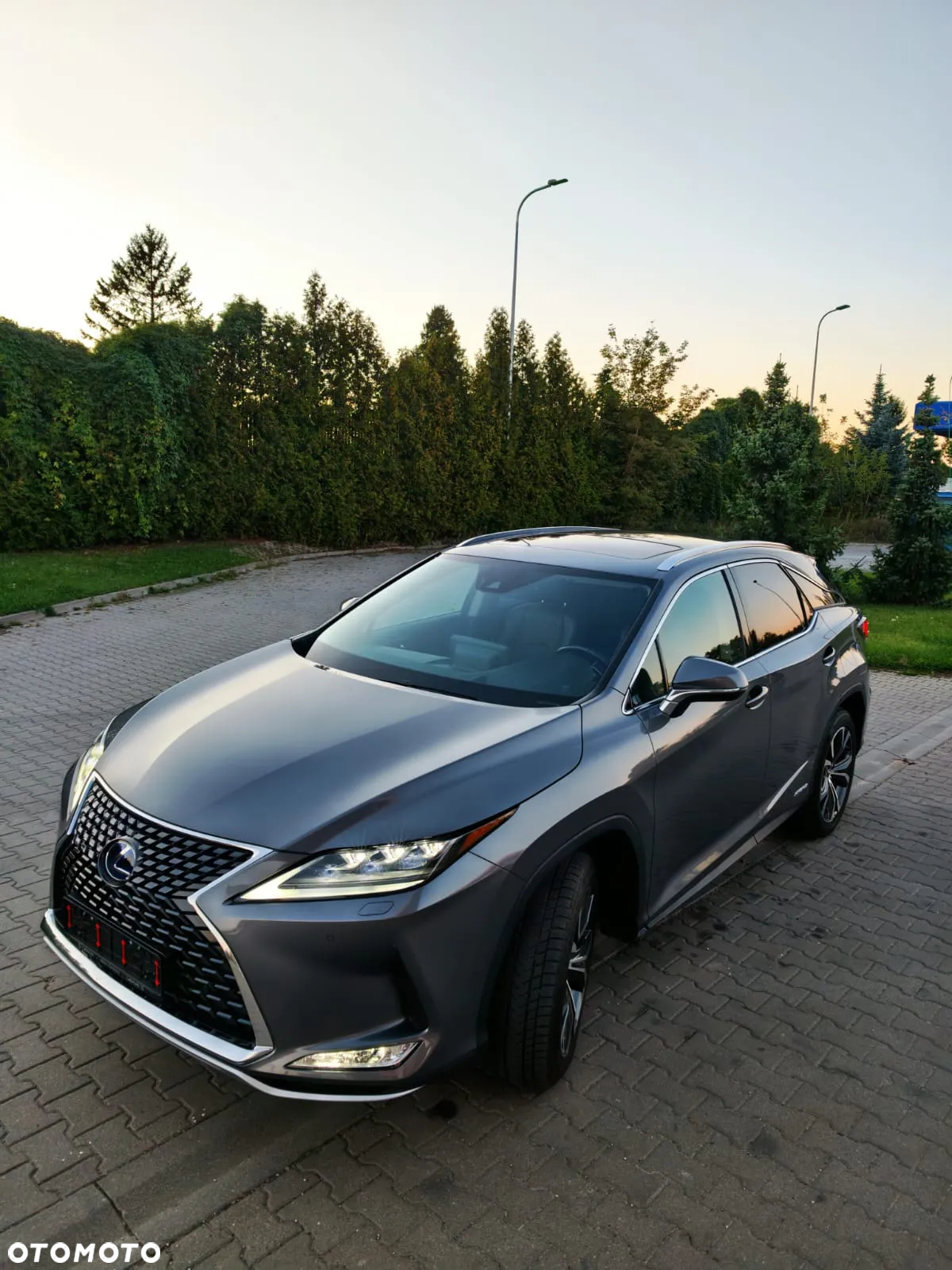 Lexus RX 450h (hybrid) Executive Line - 7