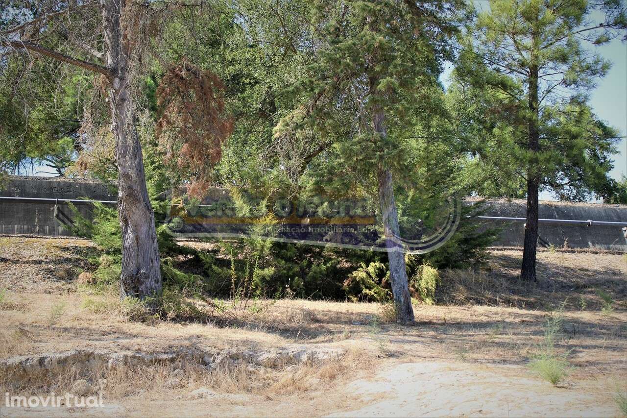 Terreno Agrícola em Foros de Salvaterra (F719) - Grande imagem: 3/16