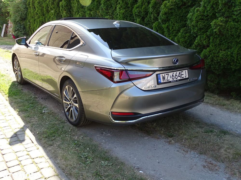 Lexus ES 300h Business Edition + - 7