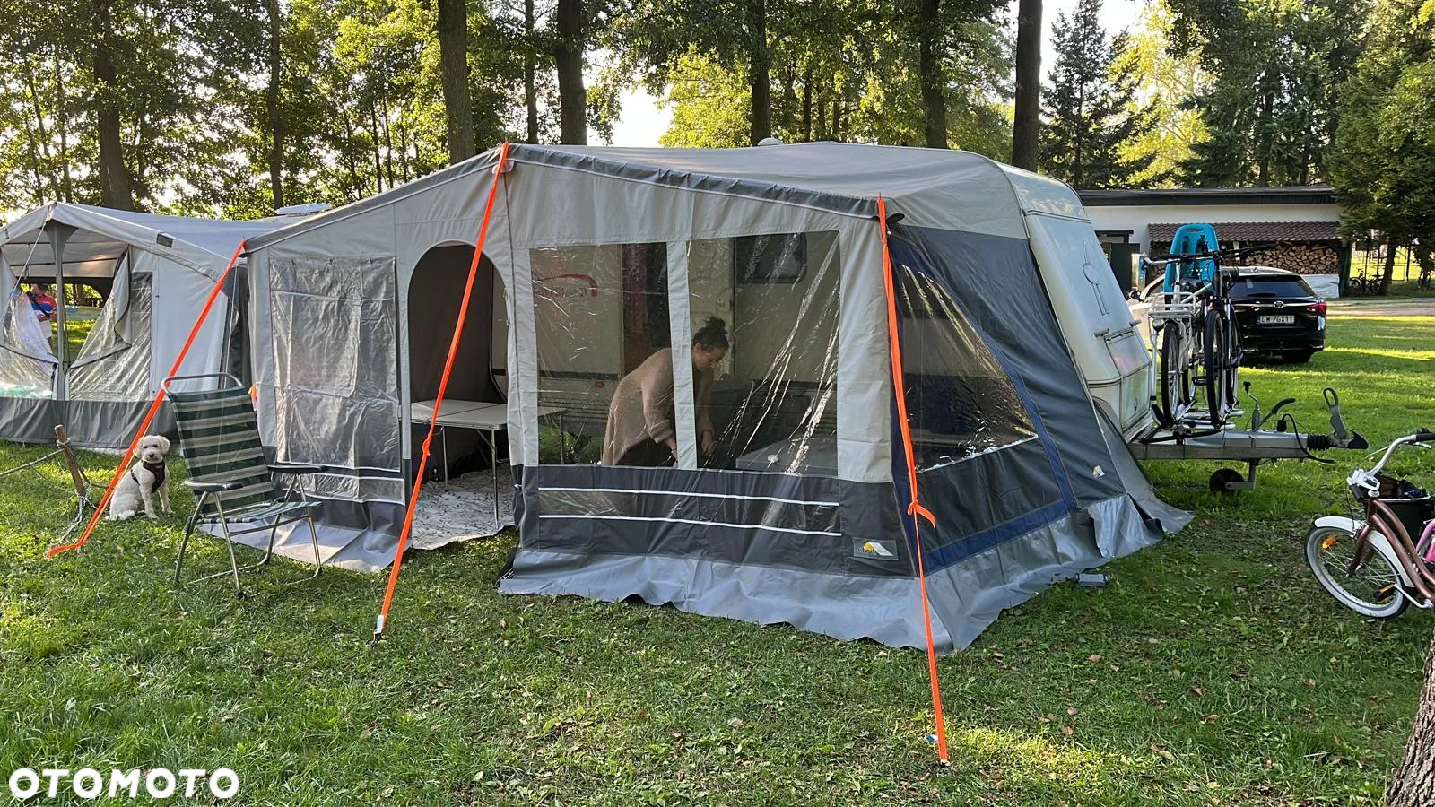 LMC - 12