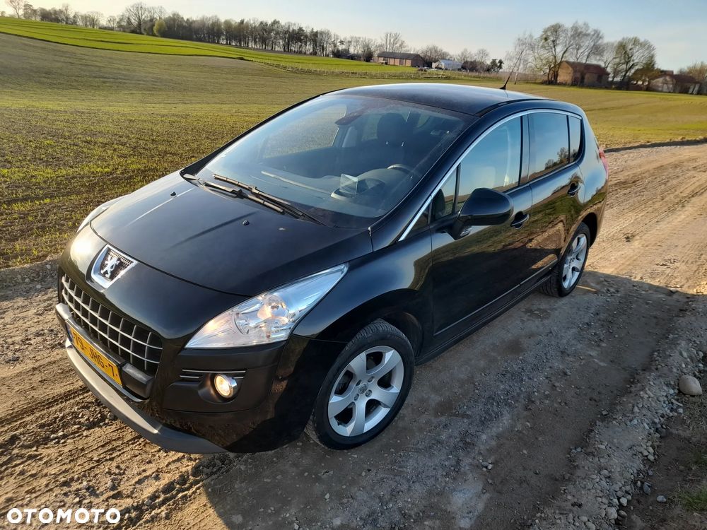 Peugeot 3008 - 18