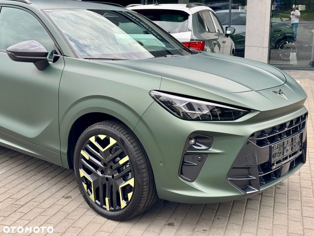 Cupra Terramar 2.0 TSI 4Drive Tribe Edition DSG - 16
