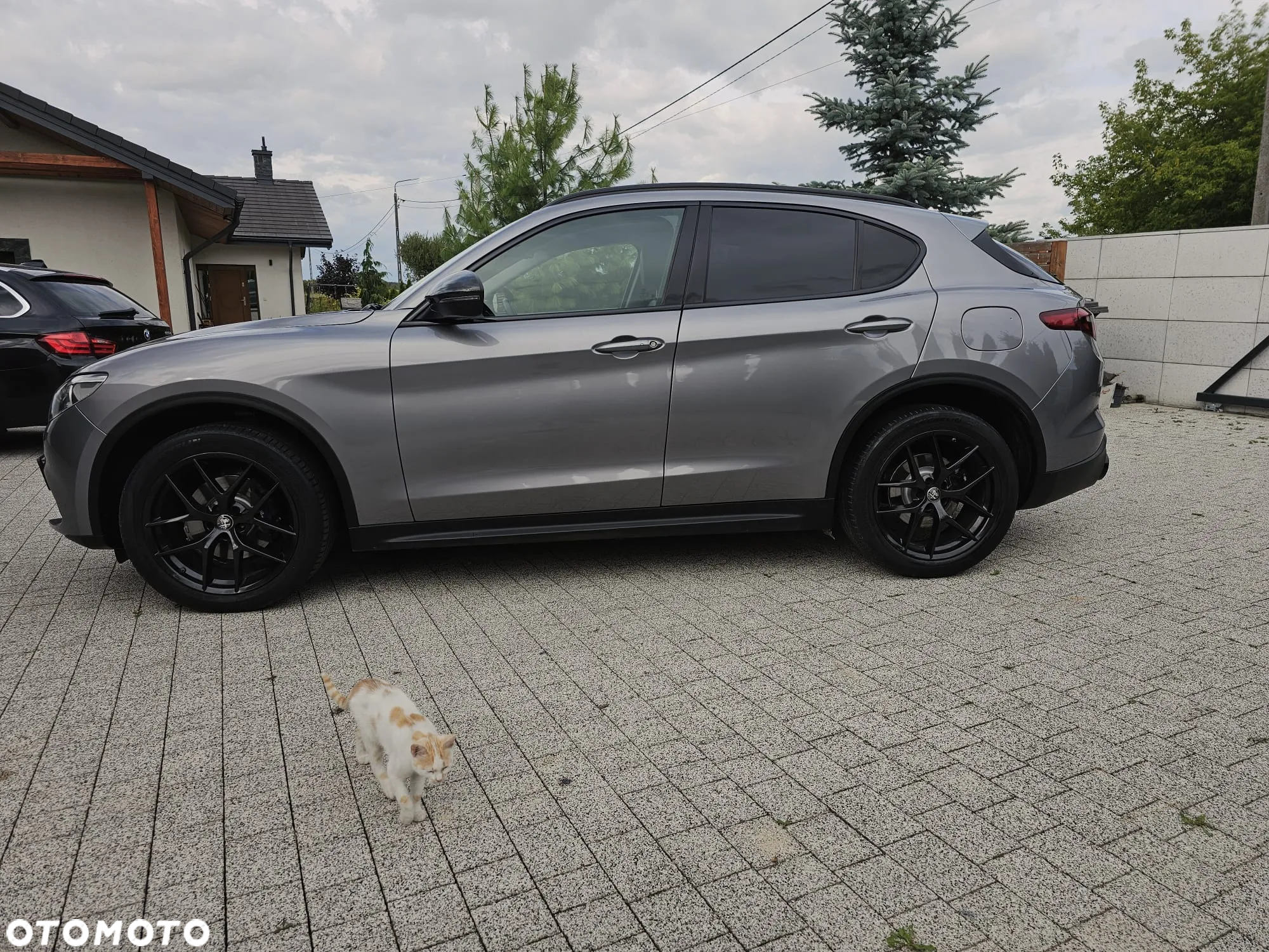 Alfa Romeo Stelvio 2.0 Turbo B-Tech Edition Q4 - 8