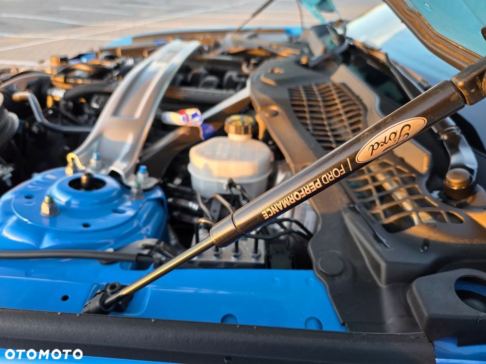 Ford Mustang 5.0 V8 Mach 1 - 20