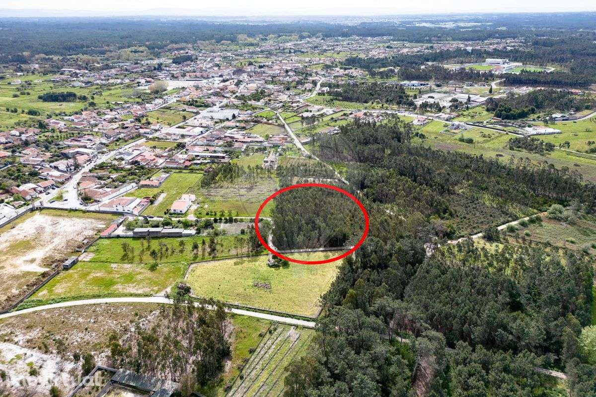 Terreno  para venda - Grande imagem: 4/19