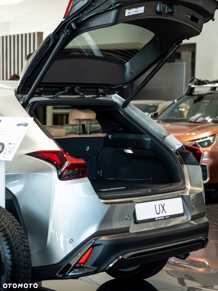 Lexus UX 300h F Sport Design - 10