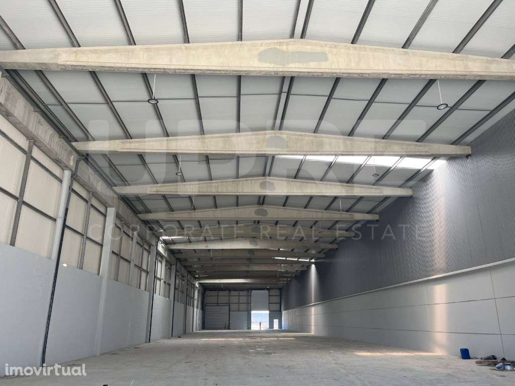 Armazém c/ 2 cais | ARRENDA | Maia - Grande imagem: 3/21