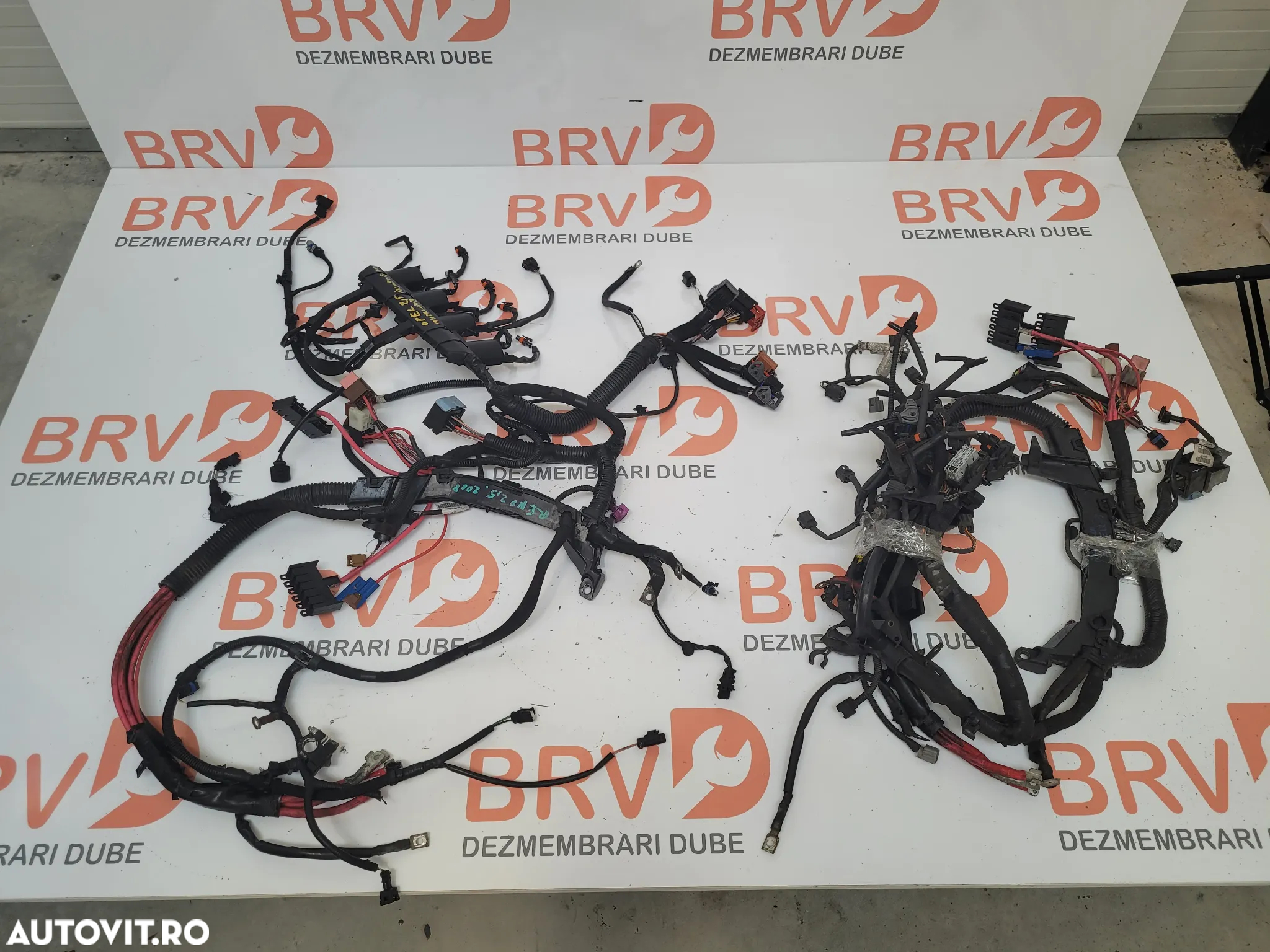 Instalatie electrica motor pentru Renault Trafic / Opel Vivaro / Nissan Primastar Euro 3 / 4 / 5 - 2
