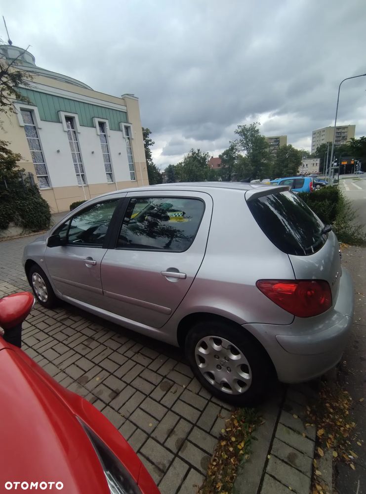 Peugeot 307 - 9