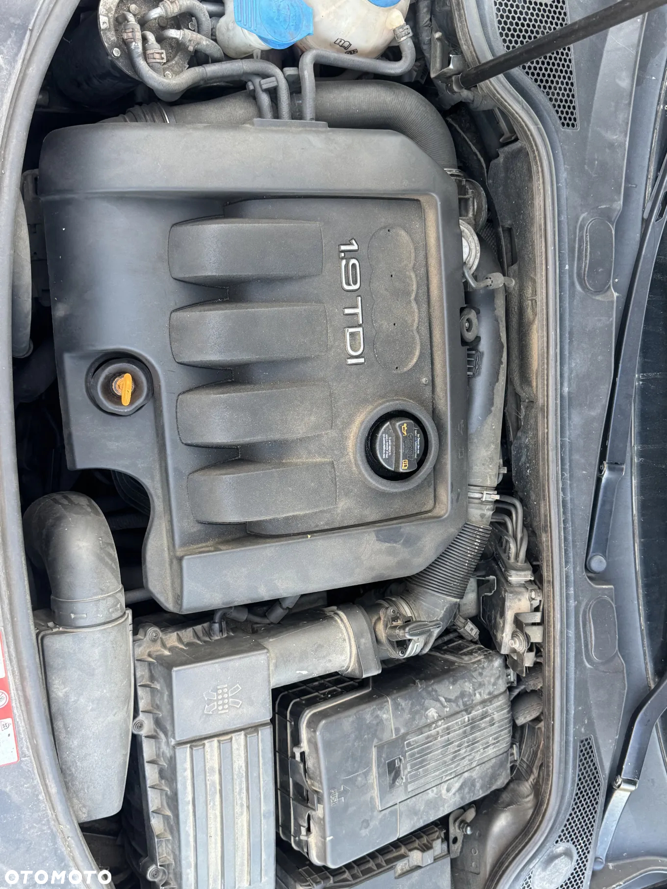 Audi A3 1.9 TDI Ambition - 19