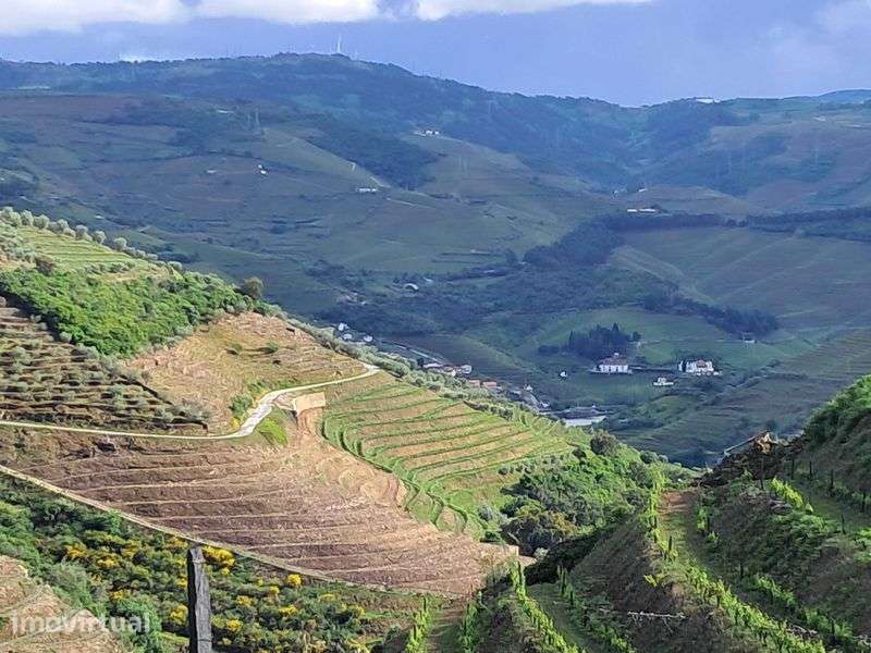 Arrendo casa em Covelinhas,  Peso da Régua - Grande imagem: 2/7