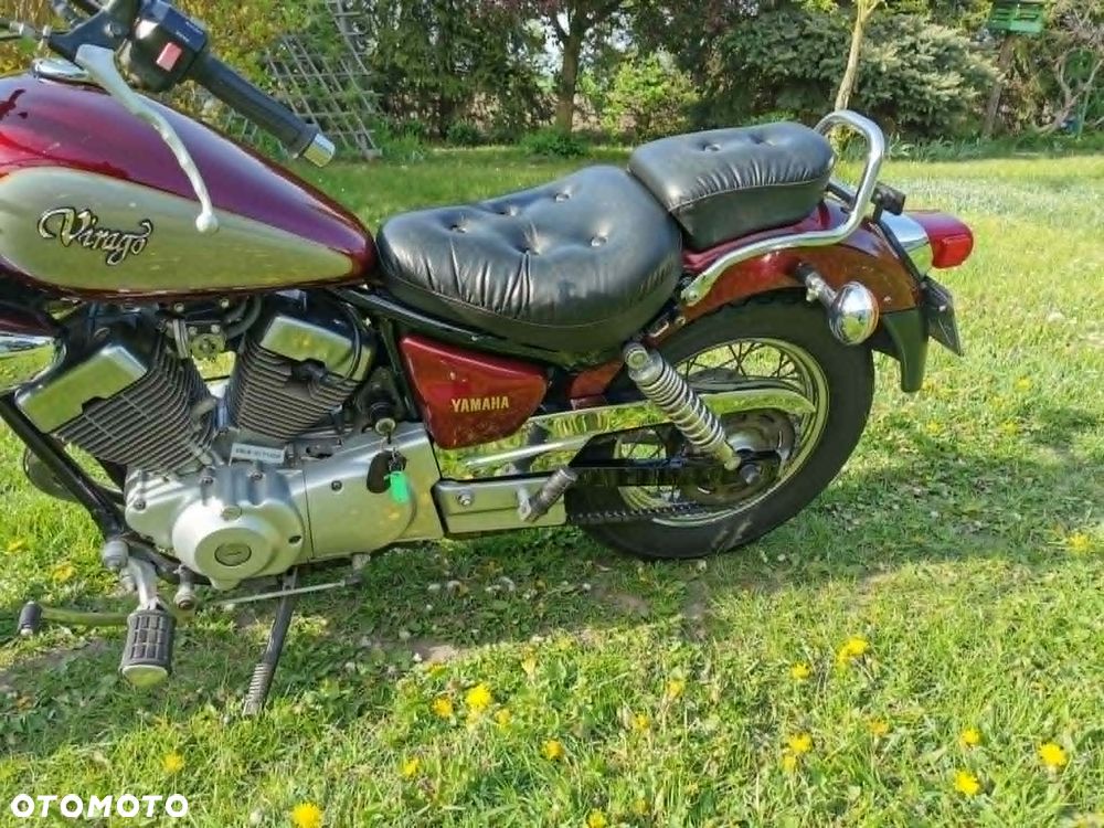Yamaha Virago - 8