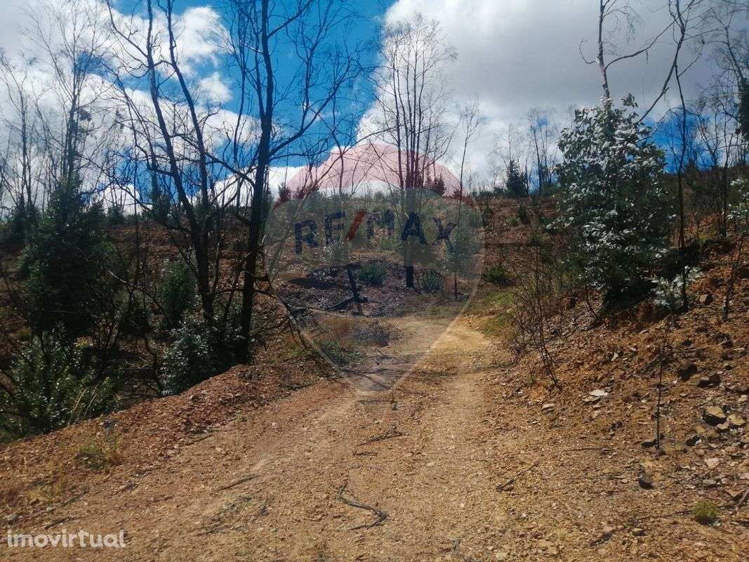 Terreno  para venda - Grande imagem: 5/14