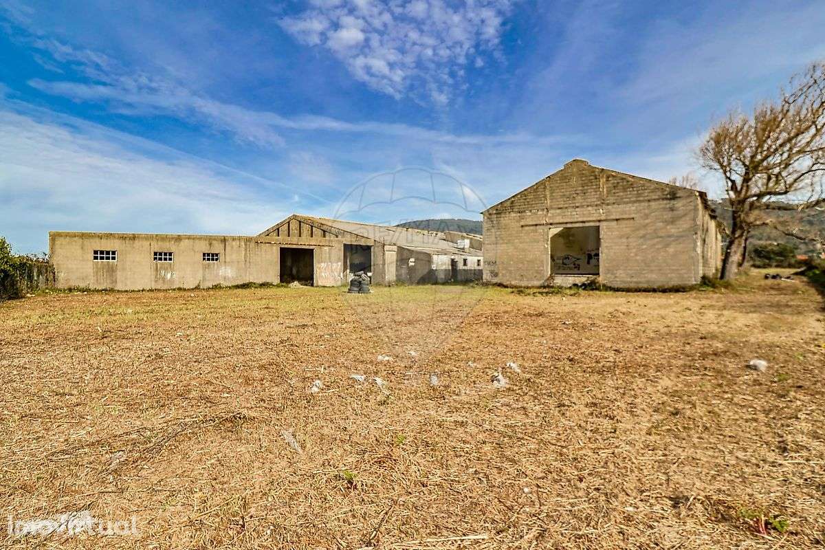 Armazém  para venda - Grande imagem: 3/50