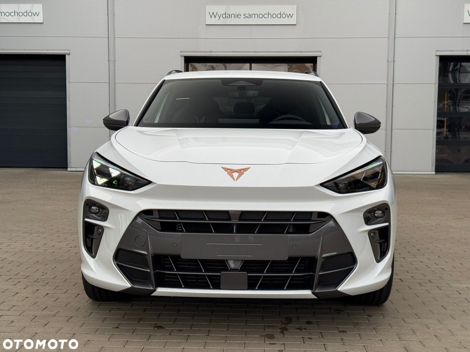 Cupra Terramar 2.0 TSI 4Drive Advantage Edition DSG - 4