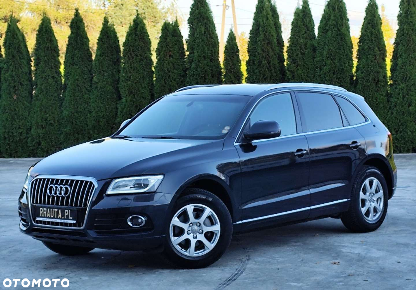 Audi Q5 - 12