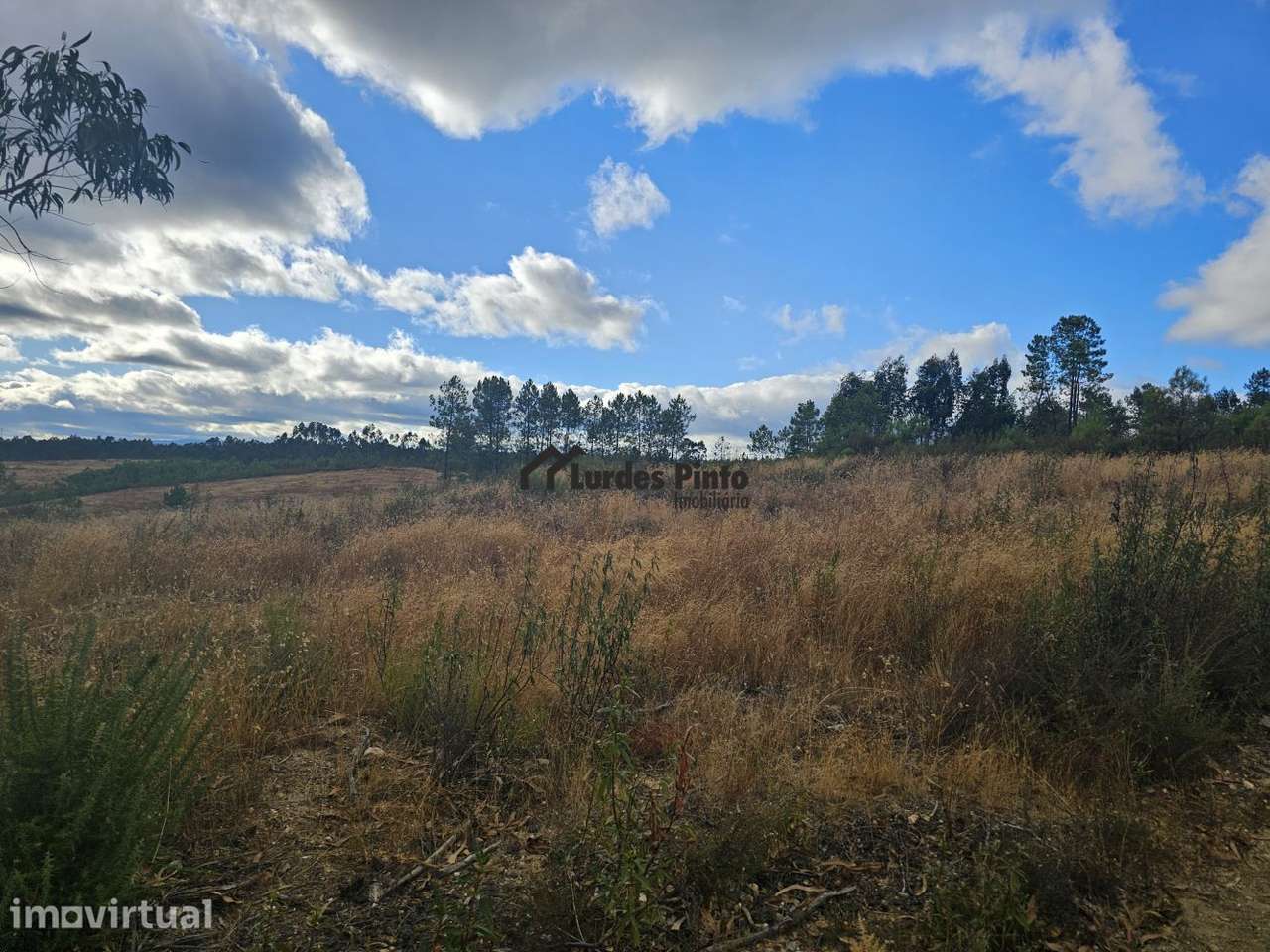 Terreno com 7.500m2 - Grande imagem: 4/10