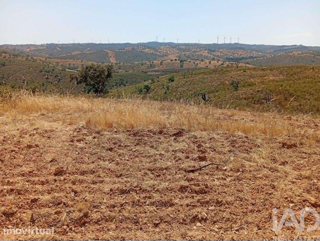 Terreno Agrícola em Santa Cruz - Grande imagem: 2/4