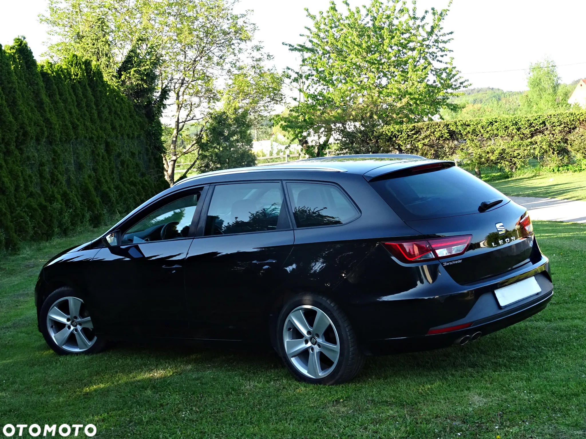 Seat Leon - 31