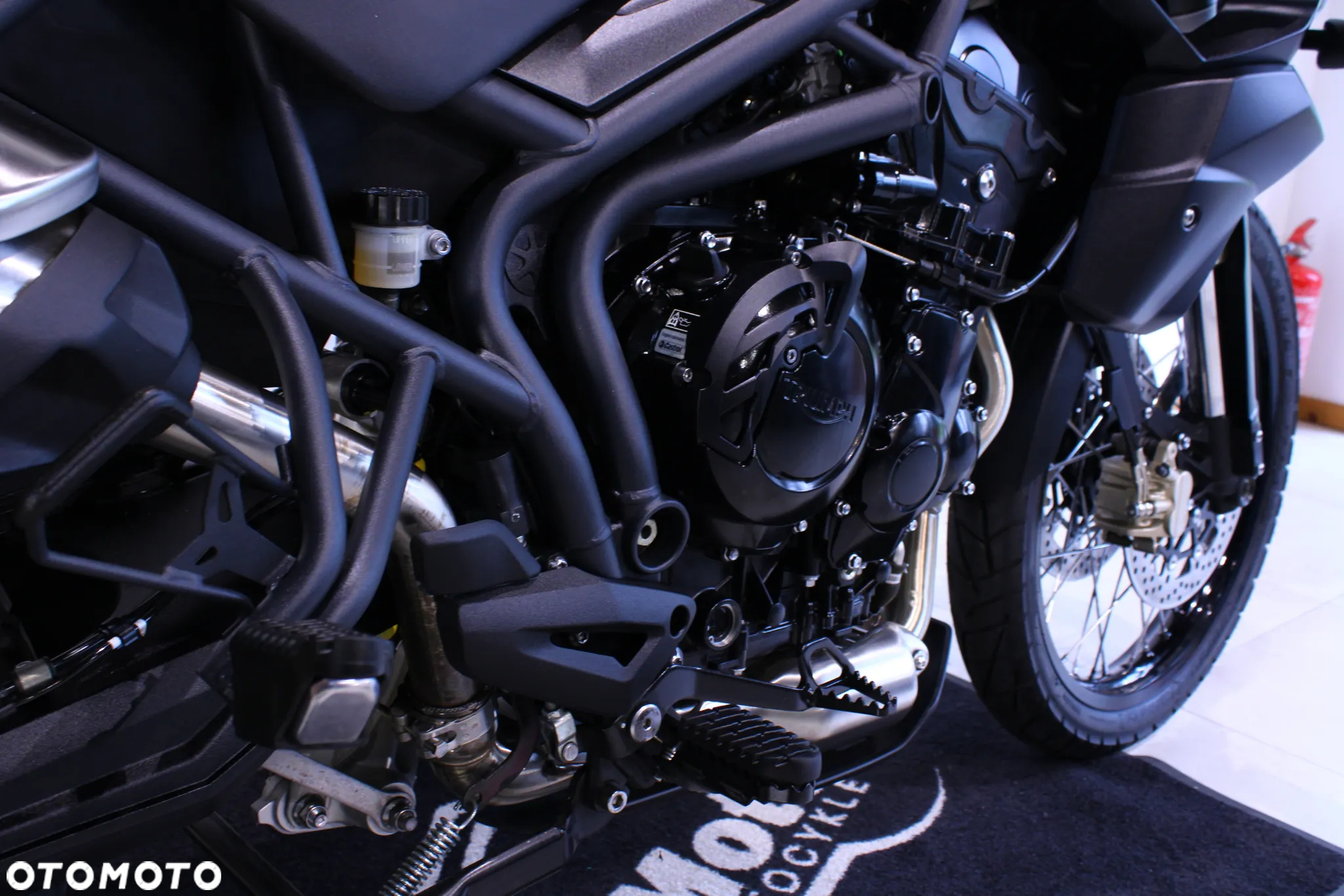 Triumph Tiger - 17