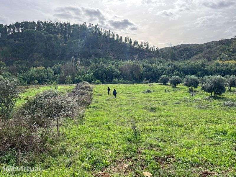 Terreno rural para amantes da natureza - Grande imagem: 5/7