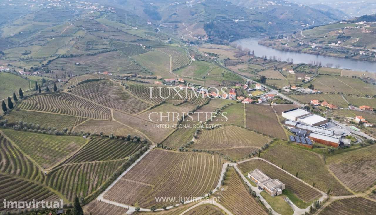 Quinta vinícola à venda no Alto Douro Vinhateiro, Douro Valley - Grande imagem: 3/21