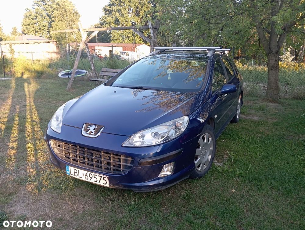 Peugeot 407