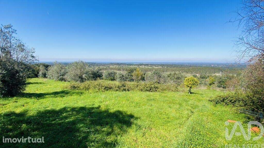 Quinta rural T3 em Galveias de 114 m2 - Grande imagem: 4/40