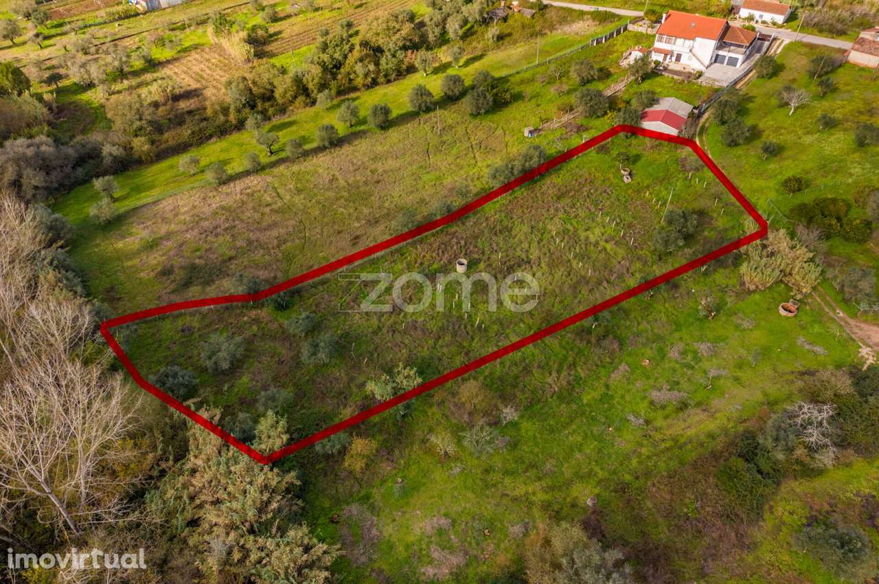 Terrenos Rústicos | Pelariga, Pombal - Grande imagem: 2/36