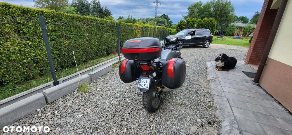 Honda CBF - 8