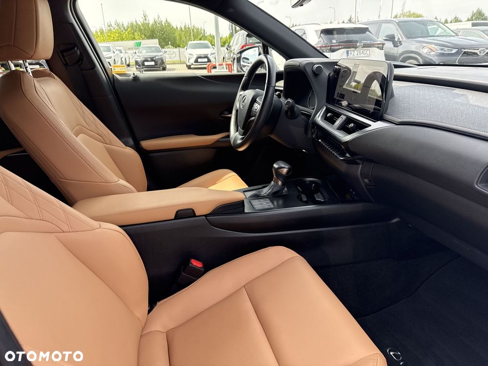 Lexus UX 250h GPF F Sport Design+ 2WD - 9
