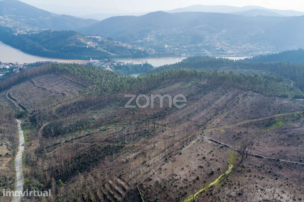 Terreno florestal urbanizável com 7.800 m2 - Rio Mau, Penafiel - Grande imagem: 2/9