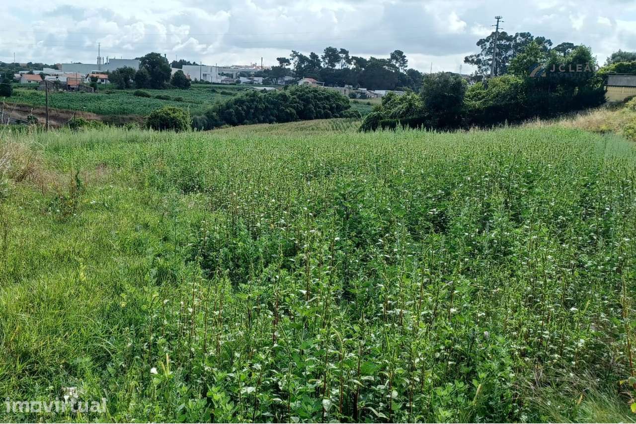 Terreno em Custóias - Grande imagem: 5/10