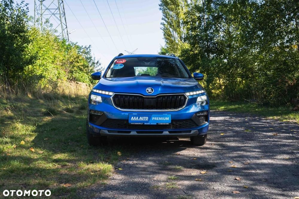 Skoda Kamiq - 8