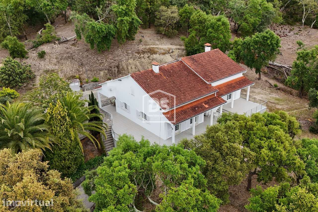 Moradia T4 Venda em Gondemaria e Olival,Ourém - Grande imagem: 3/48