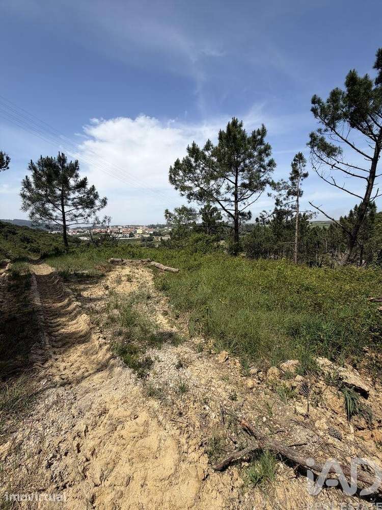 Terreno em Santo Isidoro - Grande imagem: 4/21