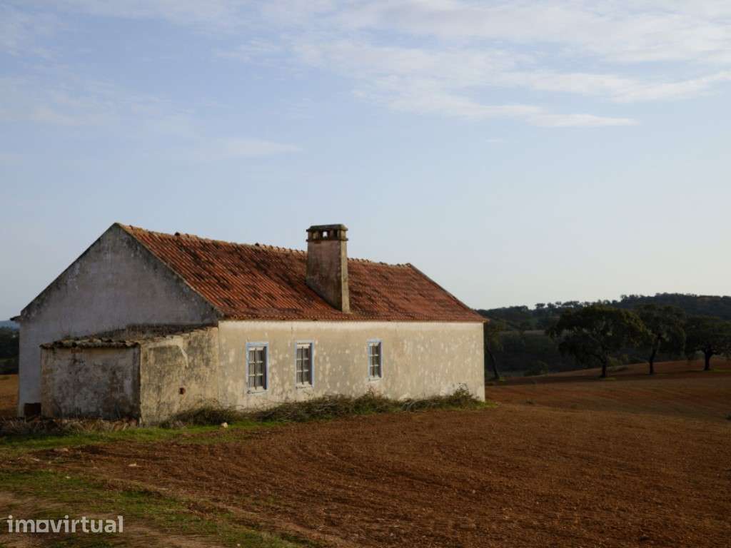 INVESTIMENTO: Herdade no Cercal junto a Barragem - Grande imagem: 2/29