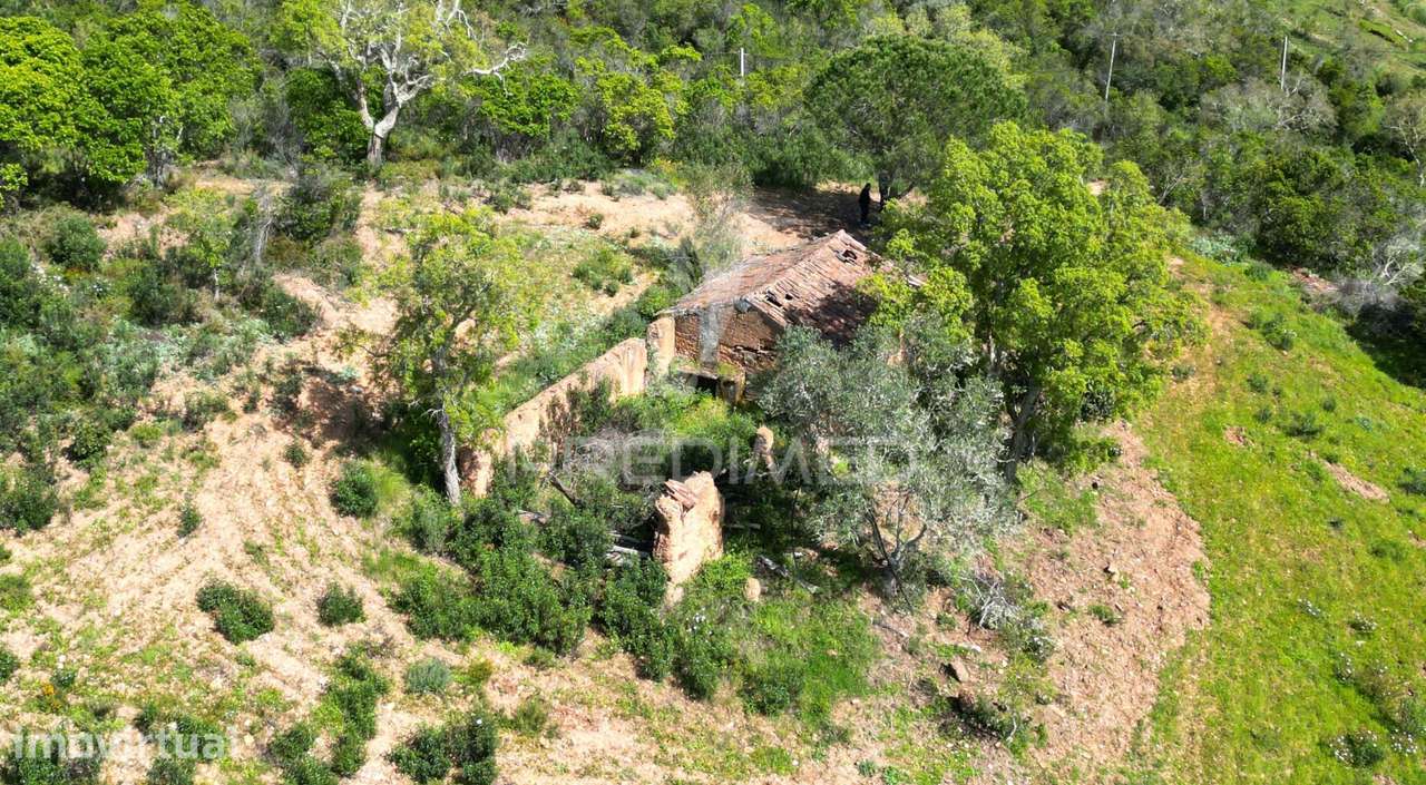 Propriedade com 20,8750 ha a 18 Km da Zambujeira do Mar - Grande imagem: 5/24