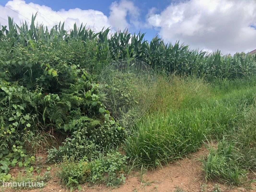Terreno  para venda - Grande imagem: 4/5