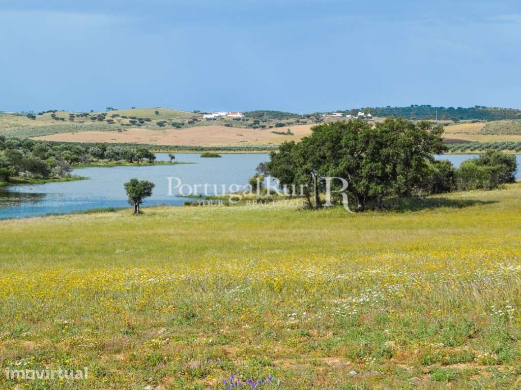 Herdade com 14 hectares na região do Alandroal - Grande imagem: 2/22