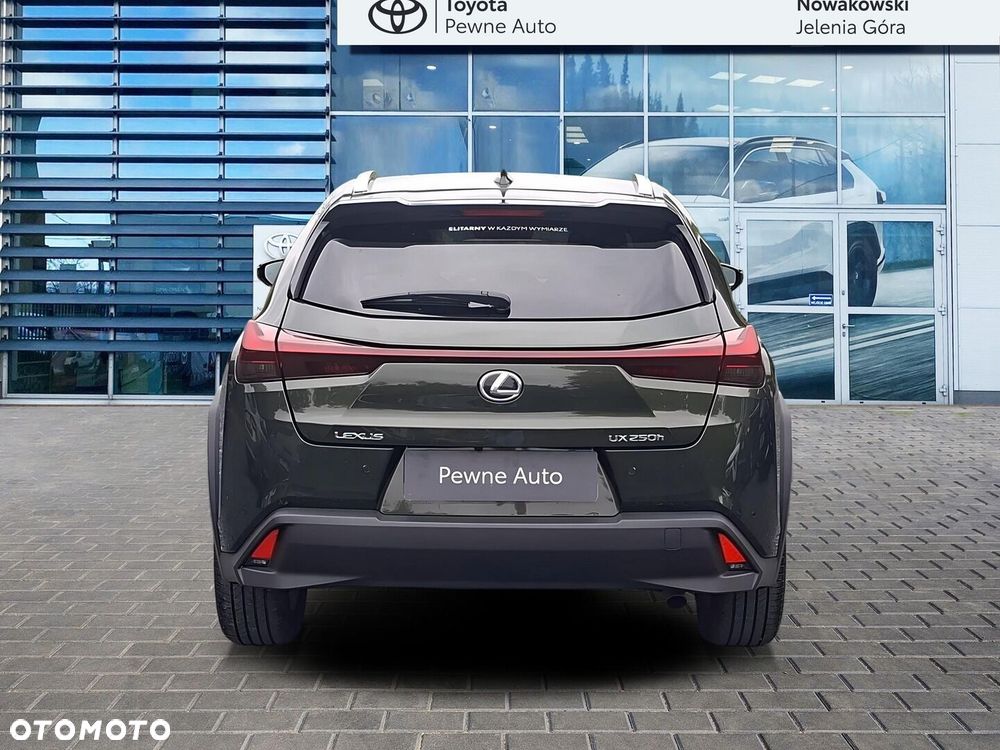 Lexus UX 250h GPF Business 2WD - 6