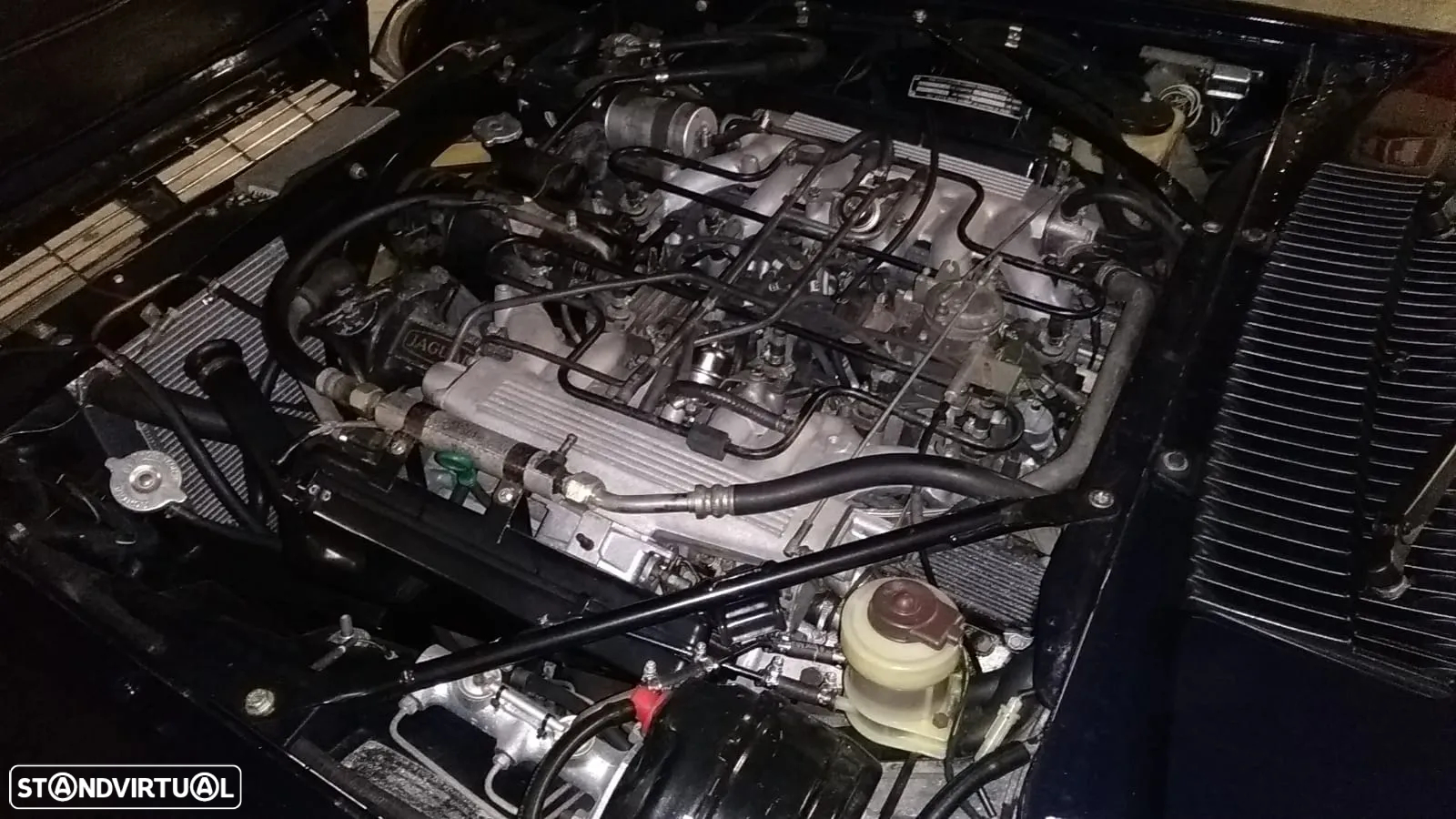 Jaguar XJS - 6