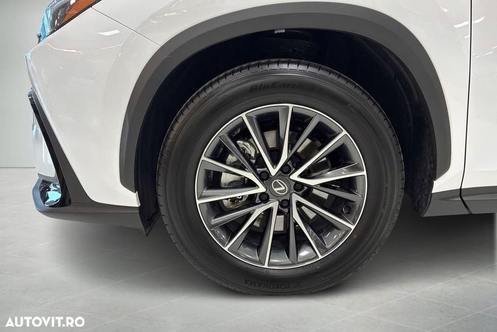 Lexus Seria NX 350h AWD CVT HEV Business - 10
