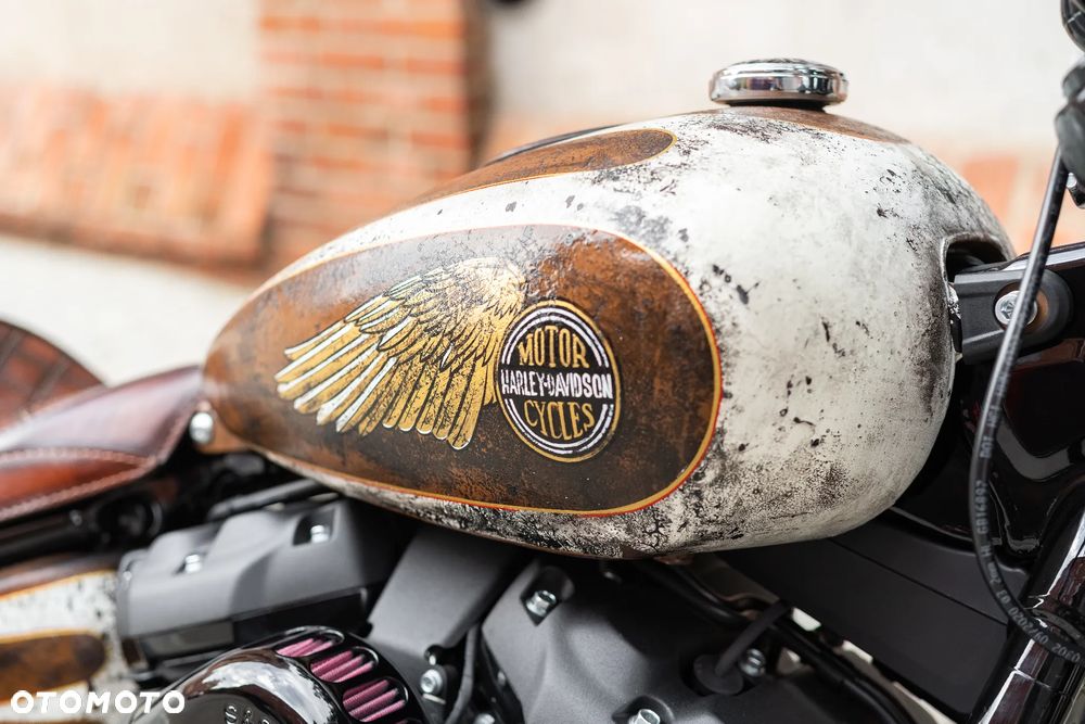 Harley-Davidson Softail - 22